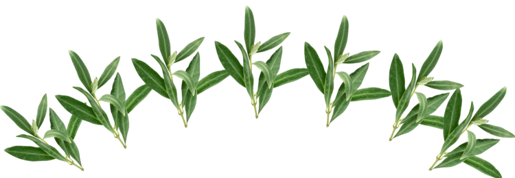 Dalle-nostre-terre-alla-tua-tavola-1