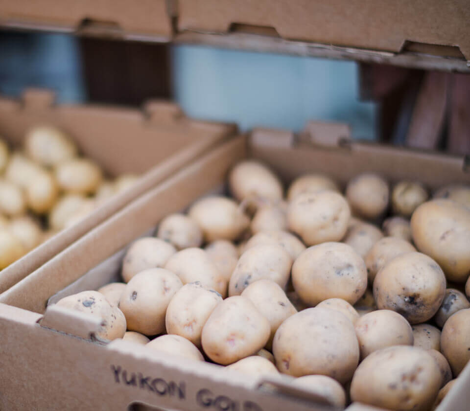 Agricola Chiera Melanzane a Filette Sottolio