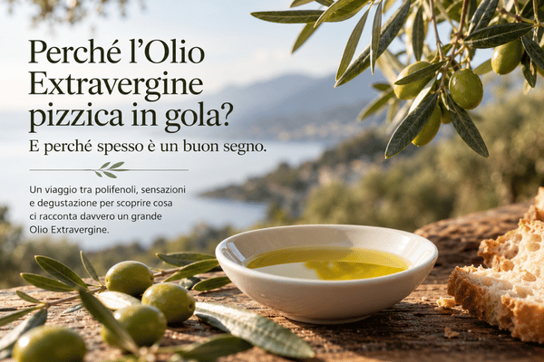 Agricola Chiera: Why Does Extra Virgin Olive Oil Make Your Throat Tingle? Agricola Chiera: Why Does Extra Virgin Olive Oil Tingle in the Throat?
